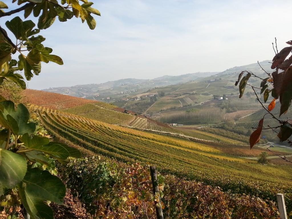 Villa Barbero Alba Langhe Mango Εξωτερικό φωτογραφία